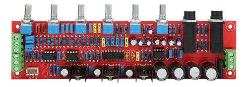 Circuito Impreso Con Chip Pt2399 Ne5532 De Placa Amplificado