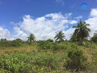 Imagem 7 de 26 de Terreno Plano Em Meio A Natureza Com Vista Para O Mar - Te0418