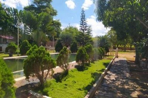 Imagen 2 de 7 de Granja De Una Hectaria De Terreno En Venta Via El Aeropuerto Mdm