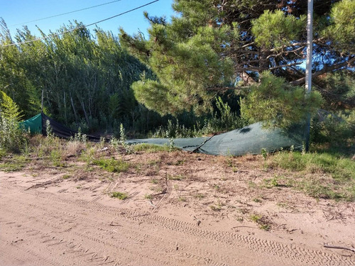 Imagen 2 de 4 de Lote Industrial Ostende #