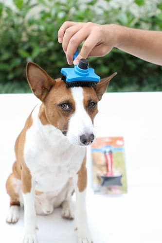 Rasqueadeira Escova Pet Chalesco Tira Pelos Cães E Gatos