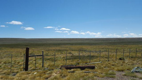 Campo - Perito Moreno