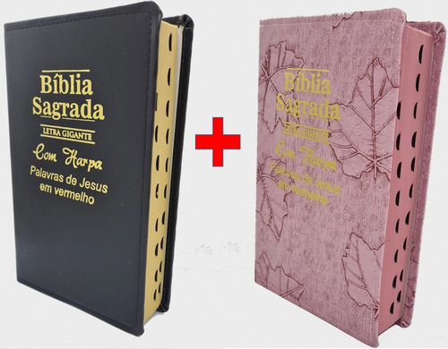 Bíblia Sagrada Do Casal Com Harpa E Corinhos