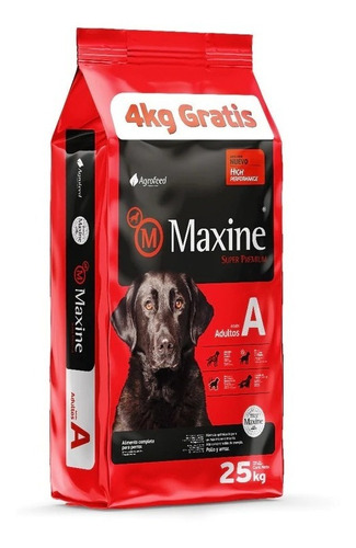  Maxine Dog Adulto Perro 25 Kg Con Regalos + Envío