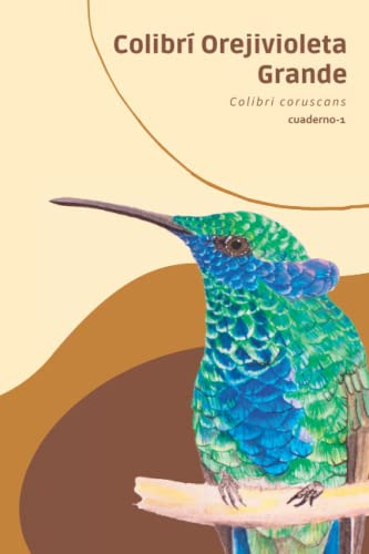 Colibri Orejivioleta Grande Colibri Coruscans Cuaderno-1 -cu