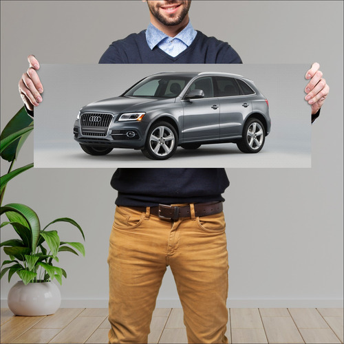 Cuadro 30x80cm Auto 2013 Audi Q5 Tfsi Quattro S 825