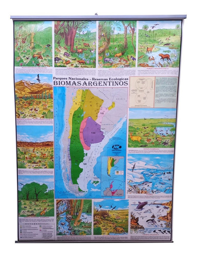 Mapa Mural Argentina Biomas (130x90 Cm)