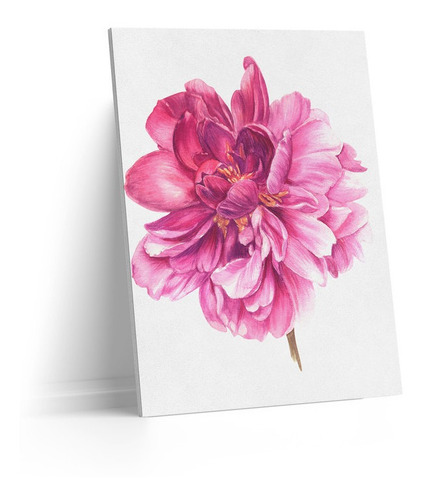 Cuadro Lienzo Canvas 25*30 Flor Rosa Pintura Tipo Oleo