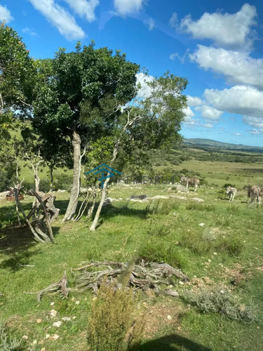 Hermosa Chacra Con Arrollo Y 2 Tajamares Pueblo Edén