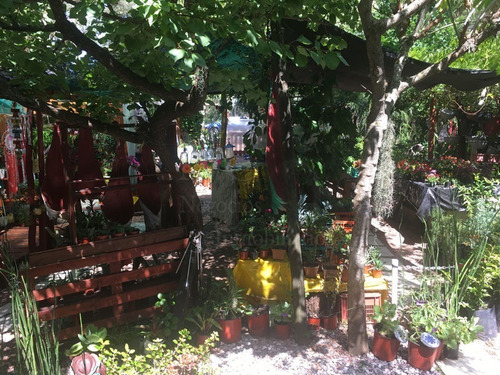 Imagen 10 de 30 de Casa + Vivero En Balneario Argentino