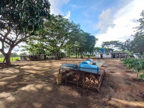 Imagen 5 de 12 de Finca Venta El Rastro Guarico Rolando Rodriguez Codg 23-2723