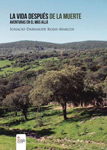 La Vida Después De La Muerte. Aventuras En El Más Allá, De Rojas-marcos Ignacio.. Grupo Editorial Círculo Rojo Sl, Tapa Blanda, Edición 1.0 En Español