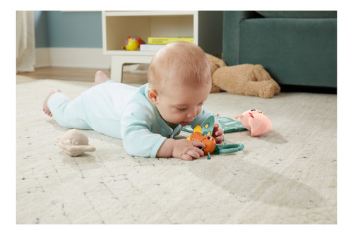 Fisher-price Juguete Para Bebés Set Regalos Muchos Sentidos