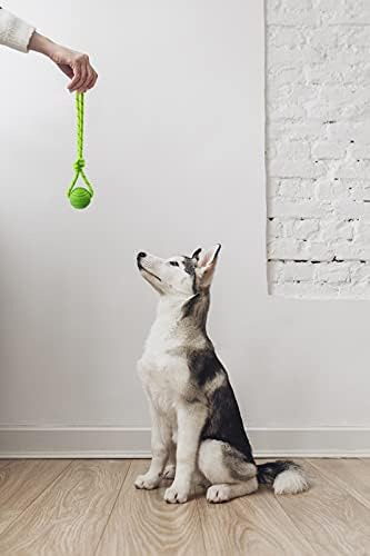 Pelota De Entrenamiento Para Perros Vitalili Con Cuerda