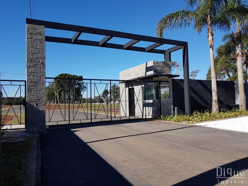 Imagem 11 de 11 de Lote Residencial - São José Dos Pinhais - Te0139 - Te0139 - 32933966