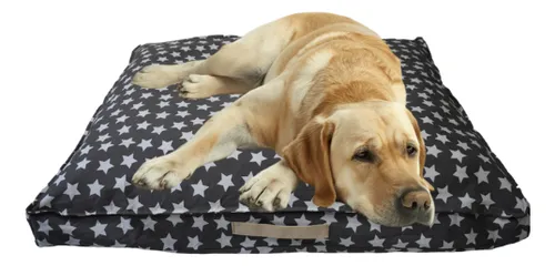 Cama Perro Pastor Catalán Pastor Portugués Taiwán Cachorro