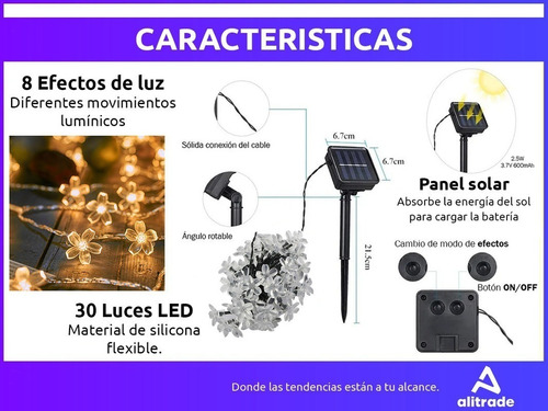 Imagen 6 de 10 de 6,5 Mts Luces Guirnalda Interior/exterior Led Flor