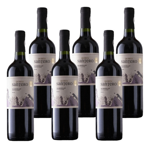 Vino Quinta Santero Cabernet Sauvignon 750 Ml Caja X 6 