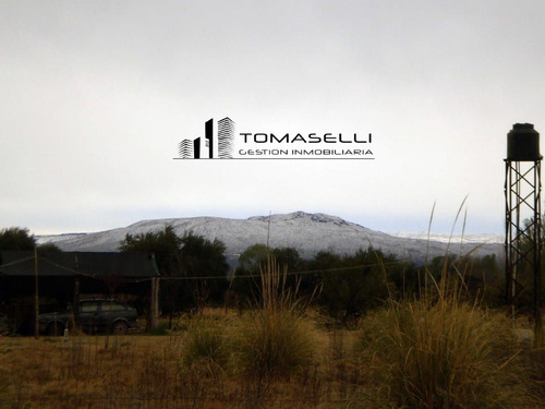 Venta - Chacra Con Casa Y Plantacion- Rama Caida - Mendoza