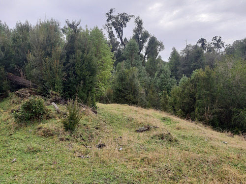 Parcela De 1,26 Hectárea Con Borde De Estero, Sector Puntra