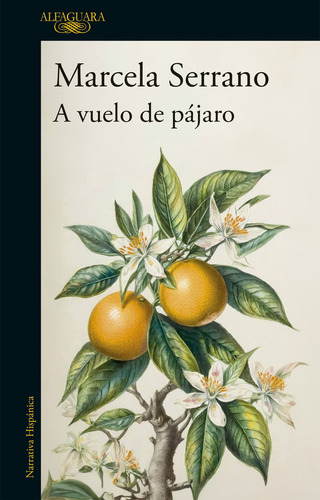 Libro A Vuelo De Pajaro - Marcela Serrano - Alfaguara