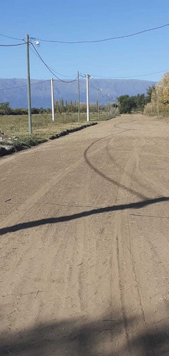 Imagen 3 de 4 de Lotes En Venta En Santa Rosa Del Conlara.