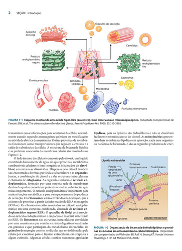 Fisiologia Médica: Uma Abordagem Integrada, de Raff, Hershel. Editorial Amgh Editora Ltda., capa mole em português, 2012