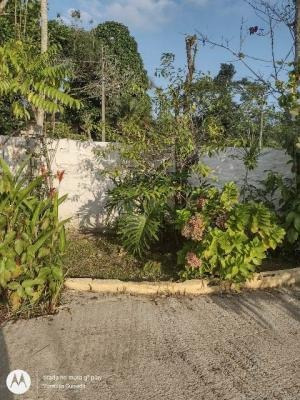 Casa Com Quintal E Suíte Em Itanhaém Litoral Sul - 7774 Npc