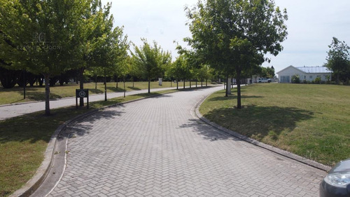 Imagen 9 de 30 de Terreno - Mar Del Plata - Pileta - Mar - Country - Barrio Privado - Golf - Costa Atlántica