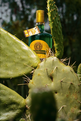 Imagen 4 de 6 de Bebida Artesanal De Nopal 750 Ml