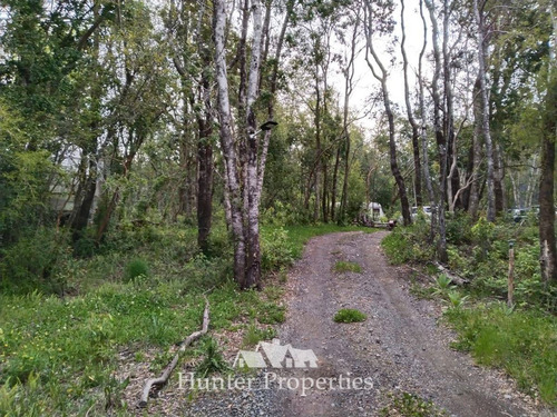 Parcela Con 3 Cabañas, 2 Y 3 Dorm. En Venta,pucón
