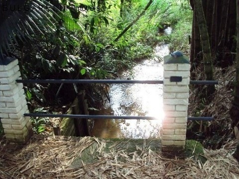 Imagem 15 de 23 de Chacara - Ch00133 - 34204373