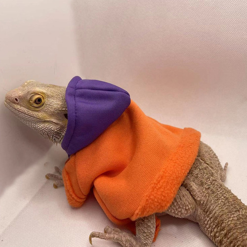 (2 #mold) Ropa Para Dragones Barbudos, Geckos, Reptiles, Rop