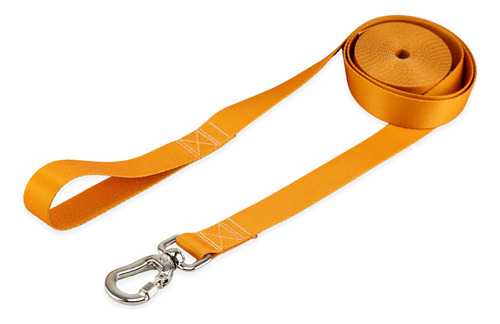 Coleira Guia 10 Metros Para Cães Cachorro Adestramento Passeio Tamanho M Porte Médio Basic Pet Caramelo