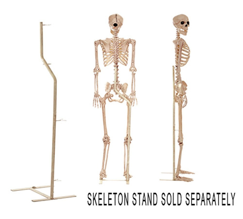 Loco Bonez Pose-n-stay Skeleton
