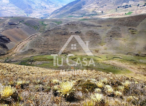 Finca Agrícola - Apartaderos