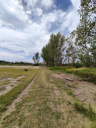 Imagen 6 de 10 de Lote En Venta En Cervantes
