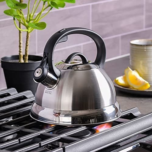 Tetera 1.2 Litros Acero Inoxidable Mr. Coffee