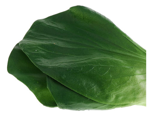 Verduras Artificiales Realistas Segundo