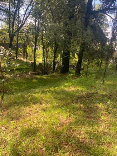 Imagen 3 de 15 de Terreno Bardado A Orilla De Carretera En Huitzilac, Morelos.