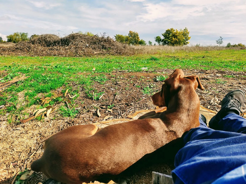 Se Vende Terreno Camino Las Rasras Km 24