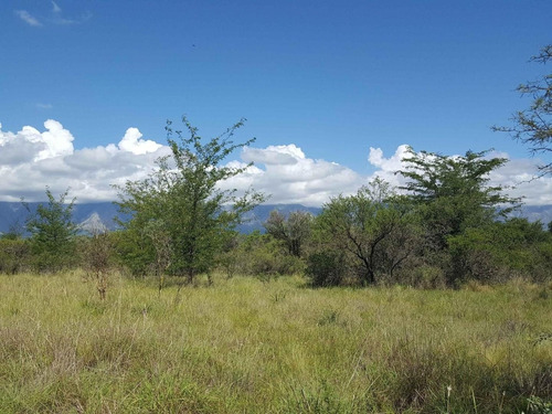 Imagen 7 de 12 de Lote De Una Hectárea Y Media En Nono