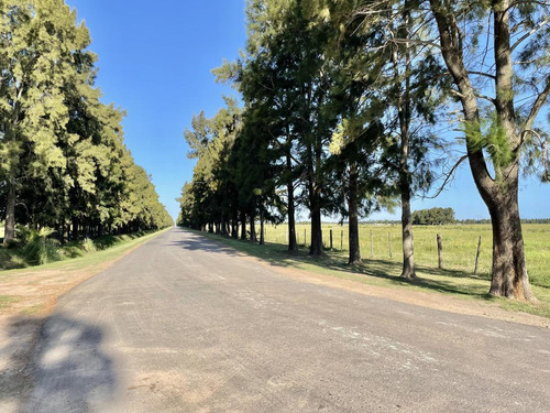 Imagen 6 de 21 de Venta Terreno Haras De Funes Club De Campo