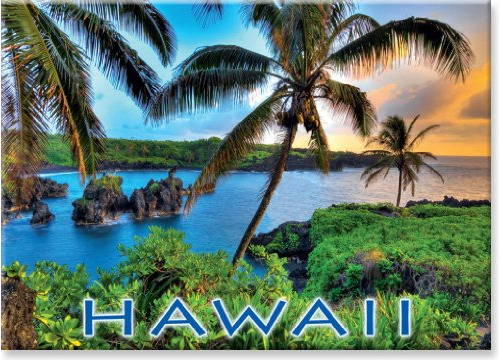 Imán De Nevera Coleccionable De Arte Hawaiano - Donde Crecen