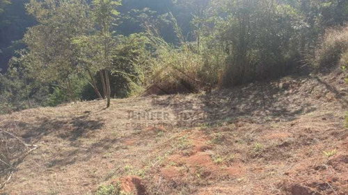 Imagem 7 de 15 de Lote / Terreno Em Corrêas - Petrópolis - 7595
