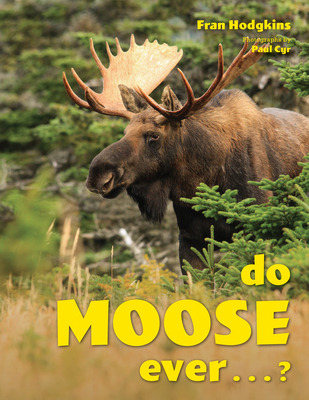 Libro Do Moose Ever . . .? - Hodgkins, Fran