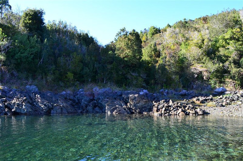 Agrícola En Venta En Hualaihue