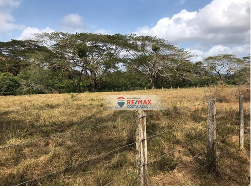 En Venta Extensa Finca San Agustin De 369 Hectareas De Capacidad Maxima Aprovechada De 1500 Animales De Engorde, Ideal Para Levante, Engorde, Leche Y Siembra.