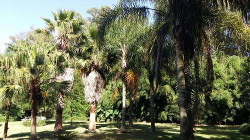 Imagen 7 de 30 de Quinta 3 Has Venta Baradero Añosa Arboleda