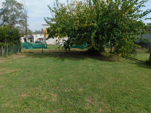 Imagen 9 de 18 de Casa En Venta - Francisco Alvarez